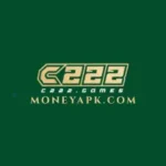 c222 game
