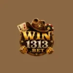 win1313.bet