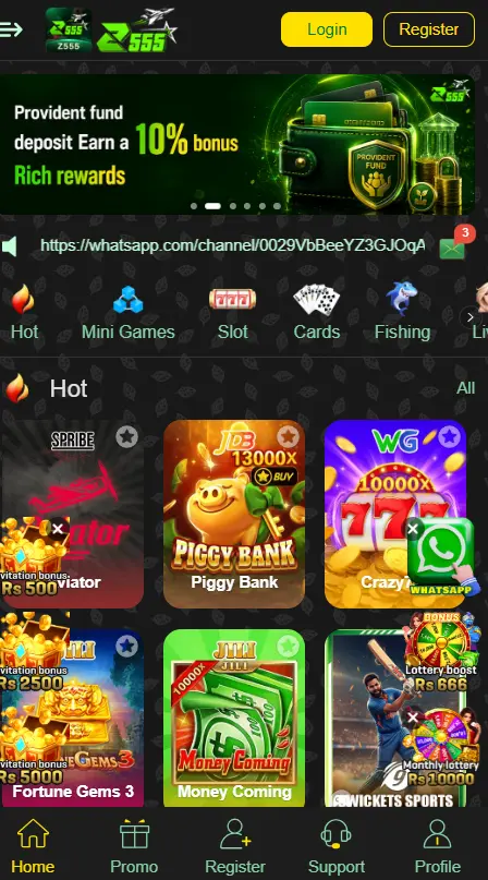z555 game image