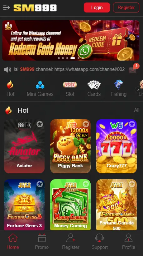sm999 game interface